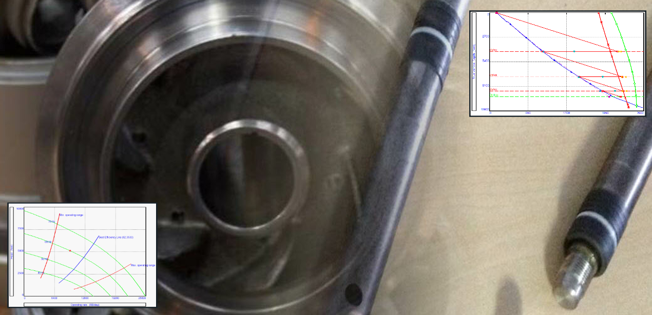 Artificial Lift Systems Modelling, Diagnosis and Optimisation  with Prosper